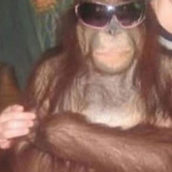 Meet your Posher, Cynthia - Picture 1 of 1